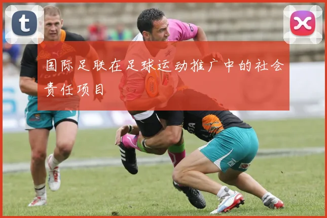 国际足联在足球运动推广中的社会责任项目