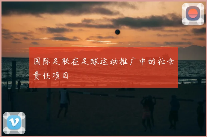 国际足联在足球运动推广中的社会责任项目