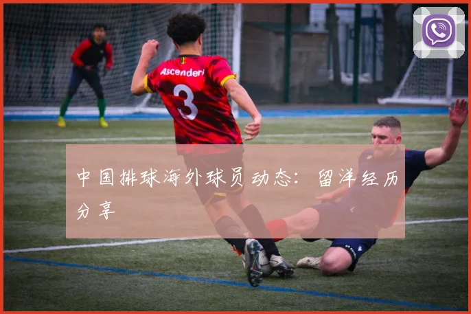 中国排球海外球员动态：留洋经历分享